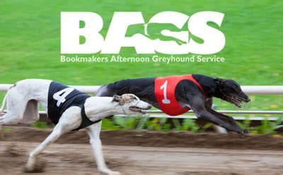 greyhoundchannel|the greyhound channel live.
